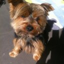 Carrie Brewster - @CMEB - Twitter