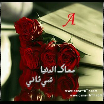 الدنيا هي بنو ♥