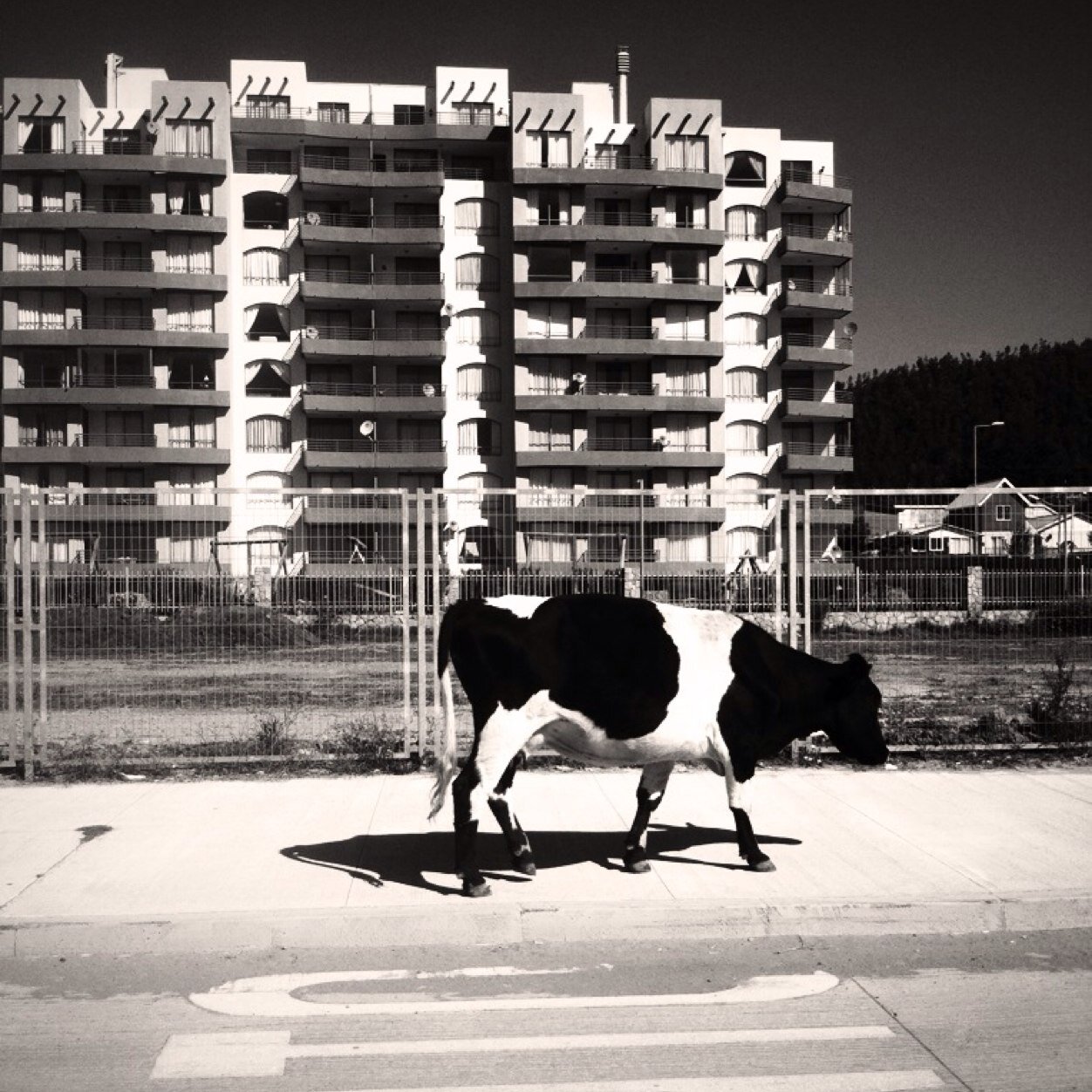 CriticArk's profile picture. Arquitectura y Detalles de todos los tiempos (comentar o simplemente mostrar) - Creado el 22 de Marzo 2014 x @jlepez_anziani Arquitecto UBB CCP