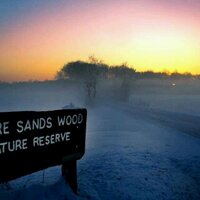 Mere Sands Wood (@meresandswood) 's Twitter Profile