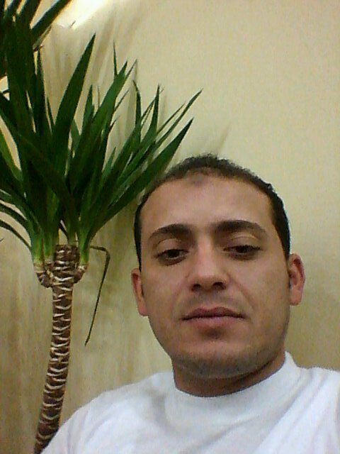 ElgendyMansor's profile picture. 