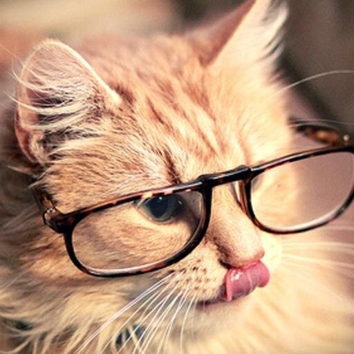 siti_norbilla's profile picture. I can do whatever I want and This is what I call 'life'. ♥ taken by Muhd Danial bin hj awg adnan ♥ 

⇨ IG : siti_norbilla 
⇨ fb : siti norbilla