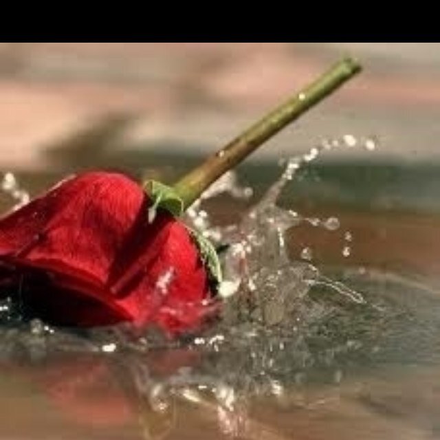 ‏♢طيب القلب♡♡*  