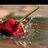 0500_abood's profile image
