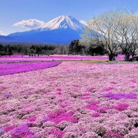 Efendy (@wish_draw) Twitter profile photo