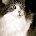 Gizmo May (@gizmoandsugar) Twitter profile photo Gizmo May (@gizmoandsugar) Twitter profile photo