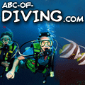 ABC_of_Diving's profile picture. In diving to the bottom of pleasure, we bring up more gravel than pearls..