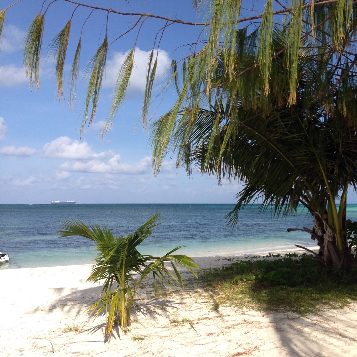 Kaich0luffy's profile picture. 