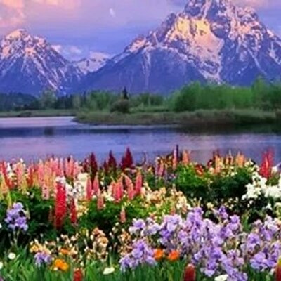 kchamp kchampeau61 twitter