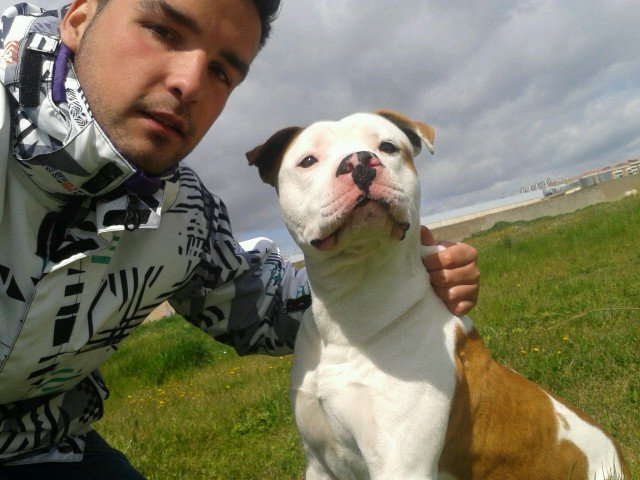 de lo que veas , creete la mitad , de lo que no veas no te creas nada (: