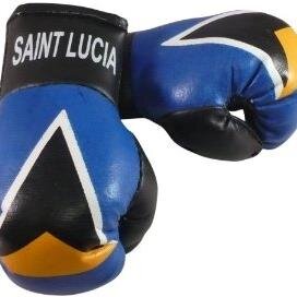 StLuciaBoxing's profile picture. 