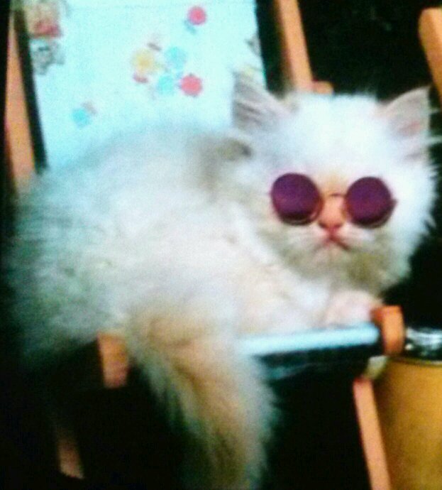 oo_ivy Profile Picture