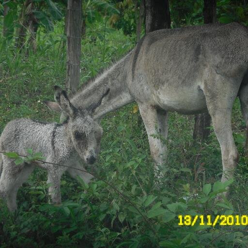 jadercr's profile picture. Empresario y Especialista en finanzas