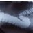 gases_intes's profile image