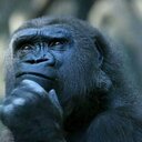 Alan Lambert - @albundi2013 - Twitter