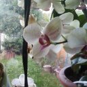 Florence Duncan - @florie521 - Twitter