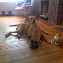 Brian Rost - @DrizztRost - Twitter