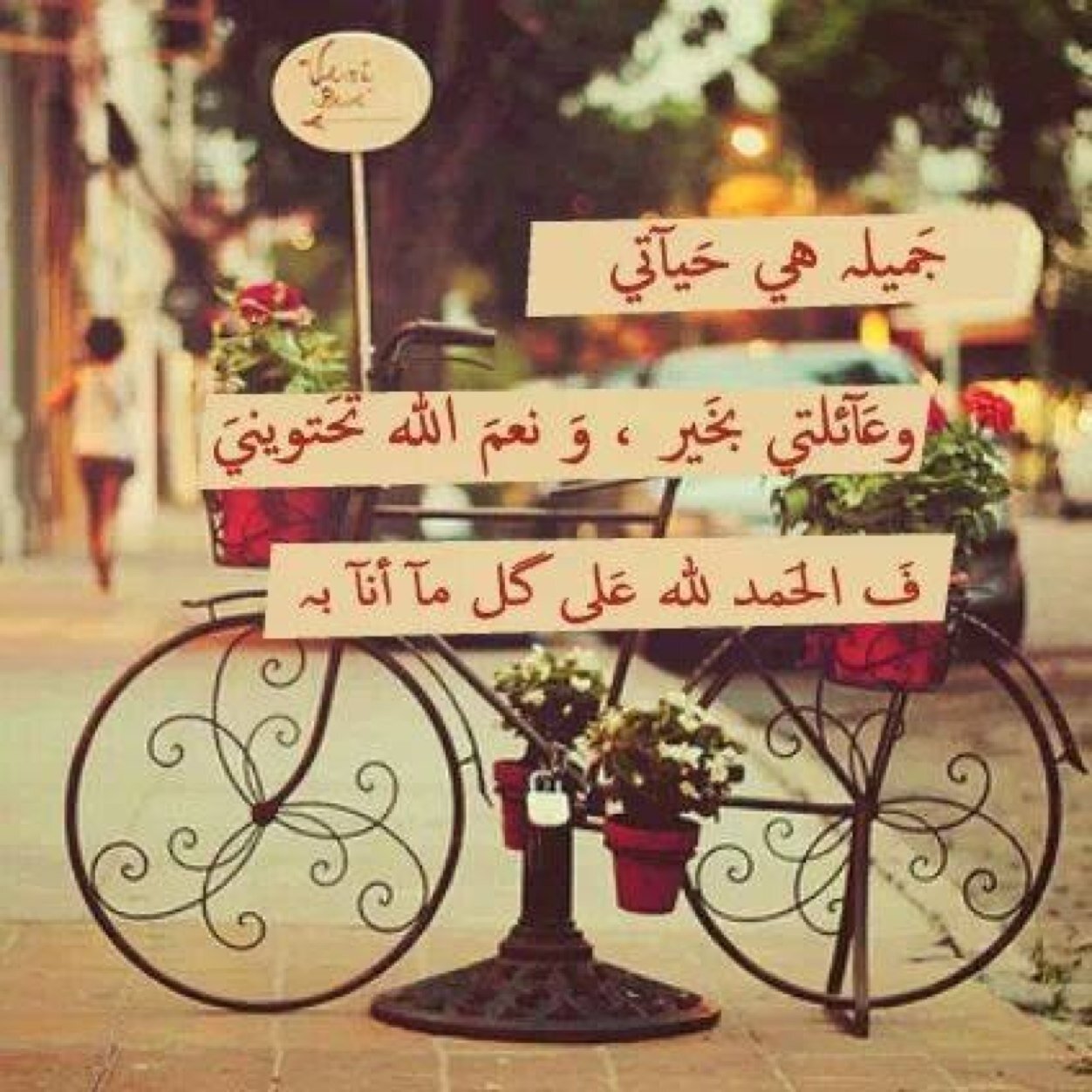أجمل أصدقائي أبي وكتابي