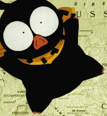 Ranma2_1's profile picture. 映画 まんが 音楽 高3