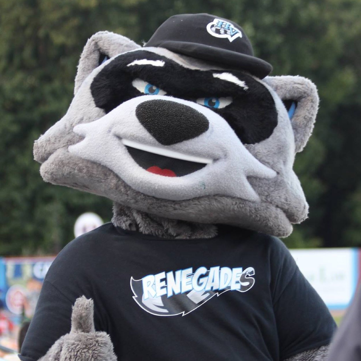Jolly, friendly raccoon, re-energized ready to rock n’ roll for the Hudson Valley Renegades. Furry hug giver, tail flinger, fun bringer and all around winner.