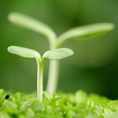 jasterwu's profile picture. 