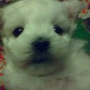 Diane Floyd - @dianefloyd21 - Twitter