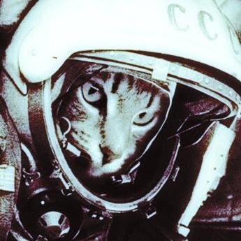 urbansheep's profile picture. Хилер и жрец, немного маг.