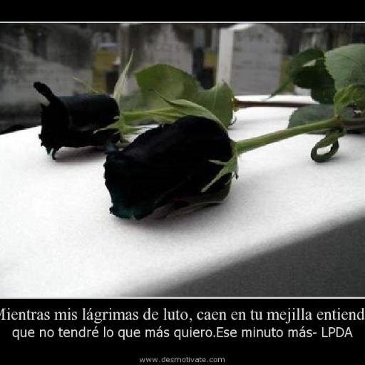 Mujer, feliz esperando encontar al hombre correcto que me ame!