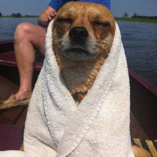 Liefde voor dieren en natuur