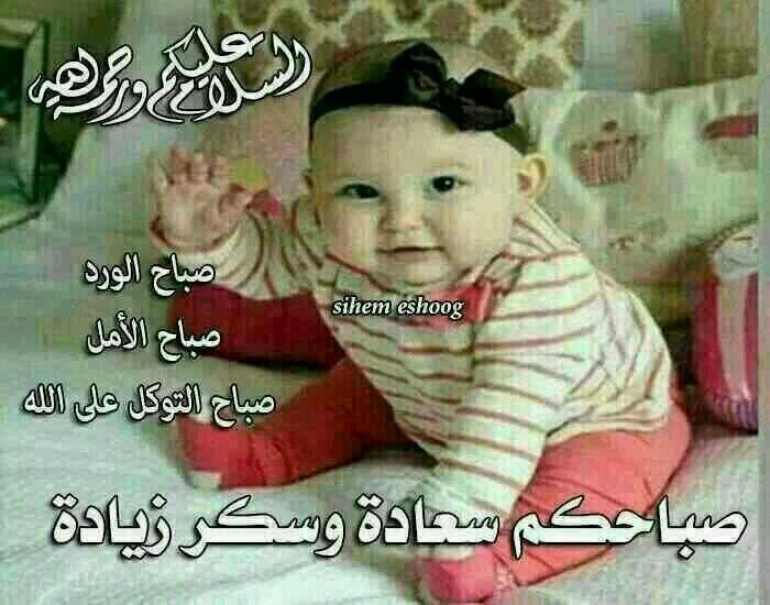 انا البحر في احشائيه الدرر فسأل الغواصين عن صدفاتي