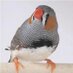 TRBlab (@trblab1) Twitter profile photo