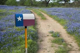 I love God, Texas, George Strait,  Muscle Cars, olllllllo, Margaritas, Beer, Tex-Mex, Running, Beautiful Beaches and Cute Puppies.