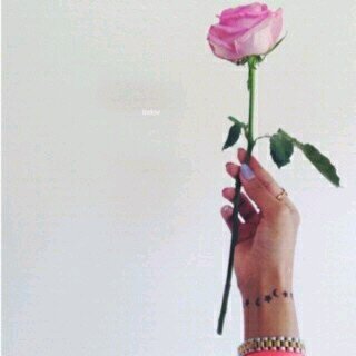 Follow - FollowBk - Mentiom