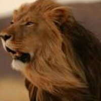 Profesor Zemo (@15d65a36dca4457) 's Twitter Profile