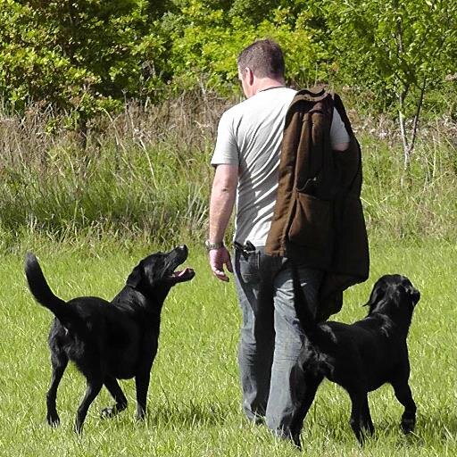 Grumpy Yorkshire Git in Norfolk , Love fieldsports, LUFC,my labs. .