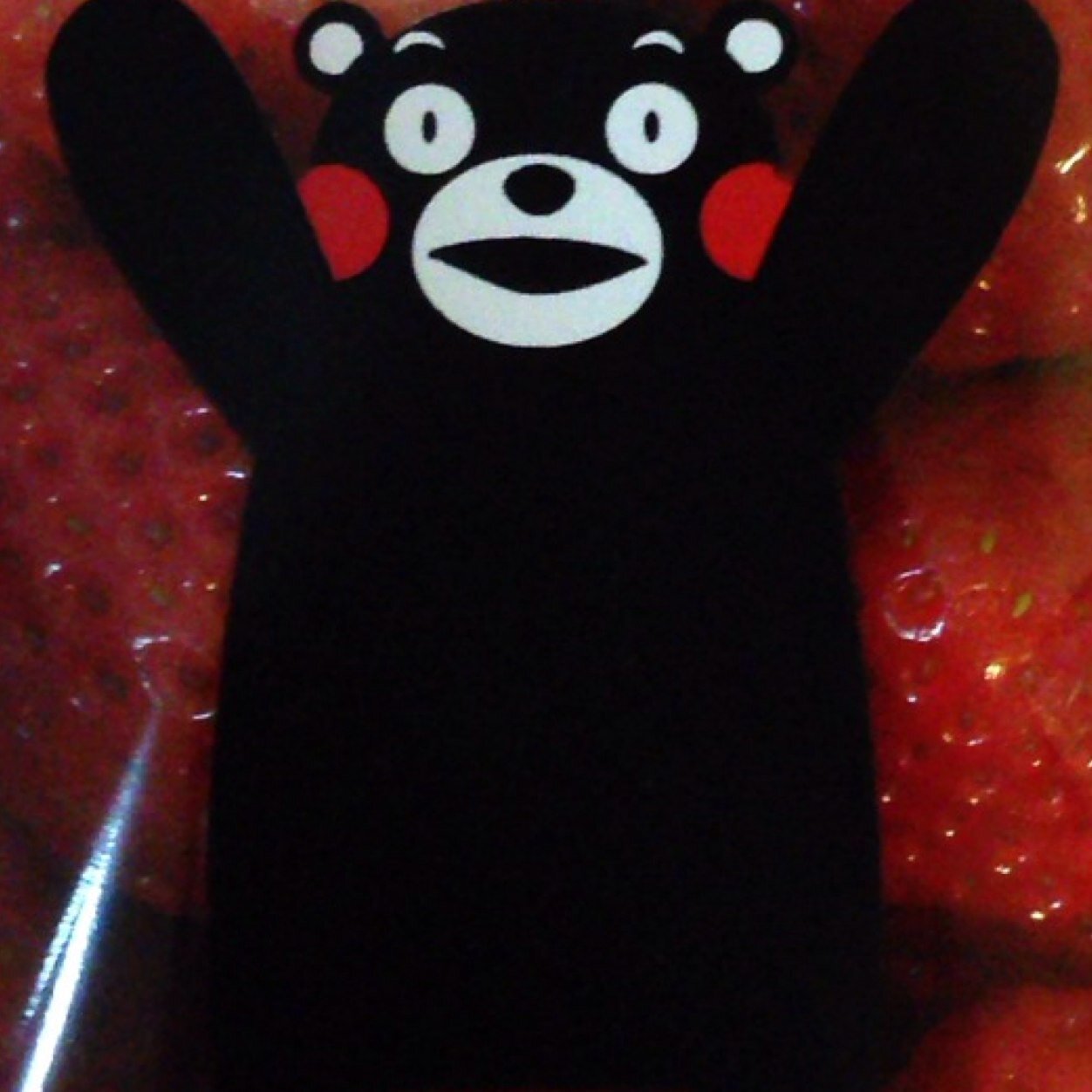 よろしく（＾Ｏ＾☆♪
