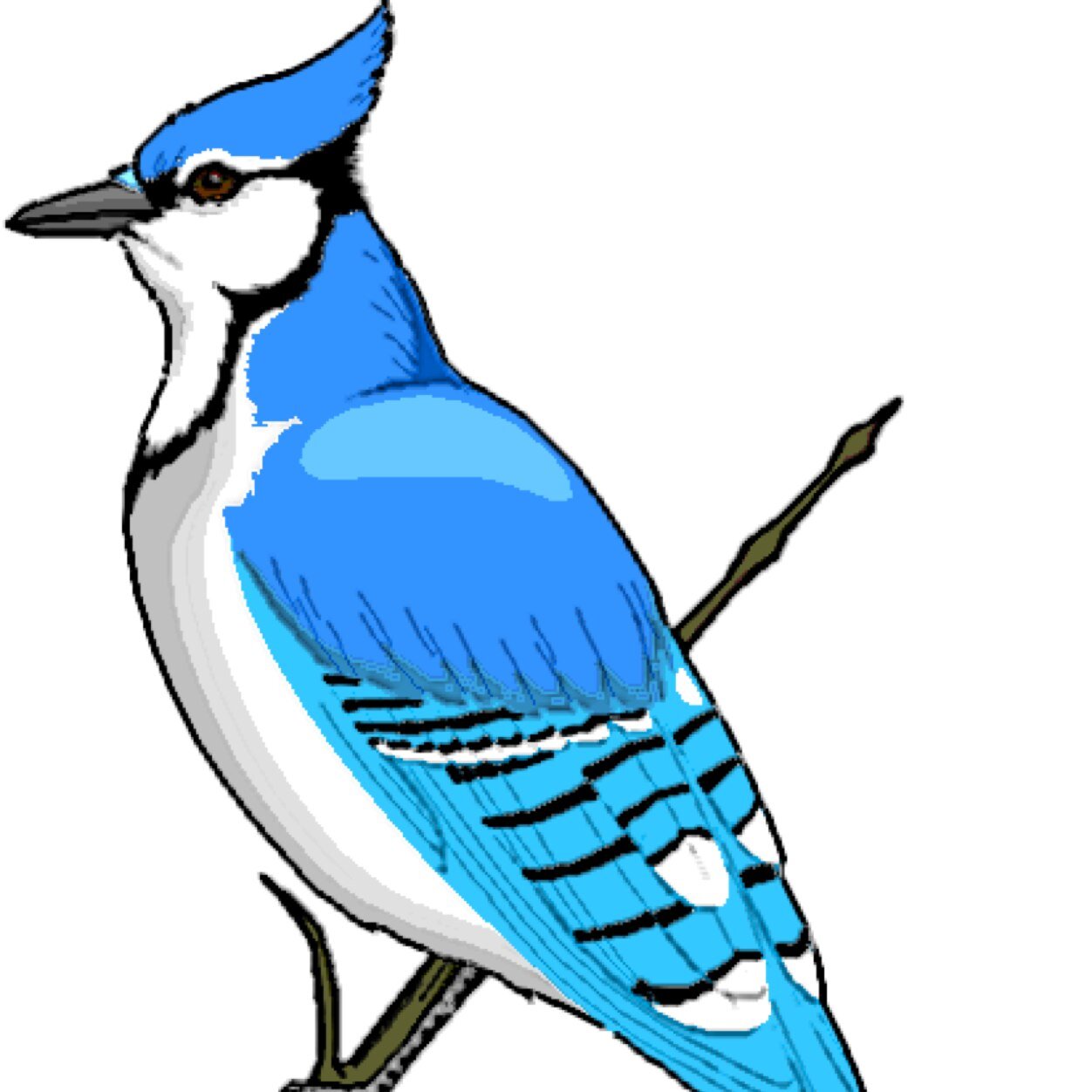 JittersC's profile picture. Coffee shop ran by the business students at Sabetha High School