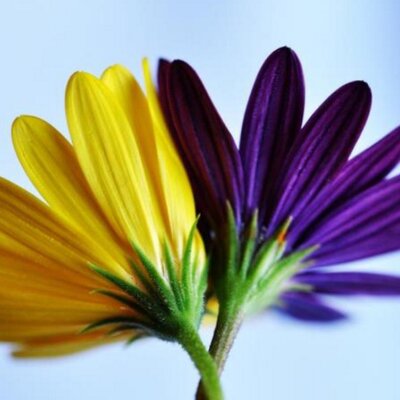 arphotographyyy's profile image