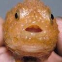 Beth Fryer - @pesthouse16 - Twitter