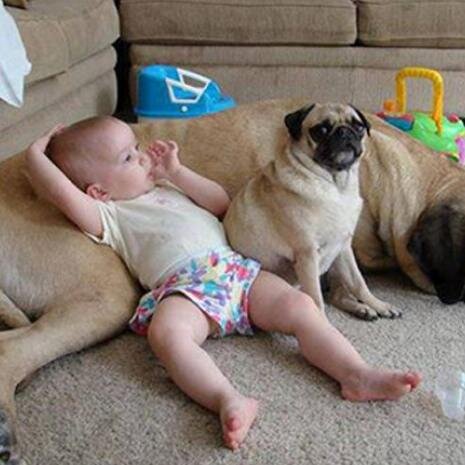 boulderdash1270's profile picture. Hayvansever,istanbul aşığı,beşiktaşlı ve sinop-ayancıklı-daha ne olsun..............