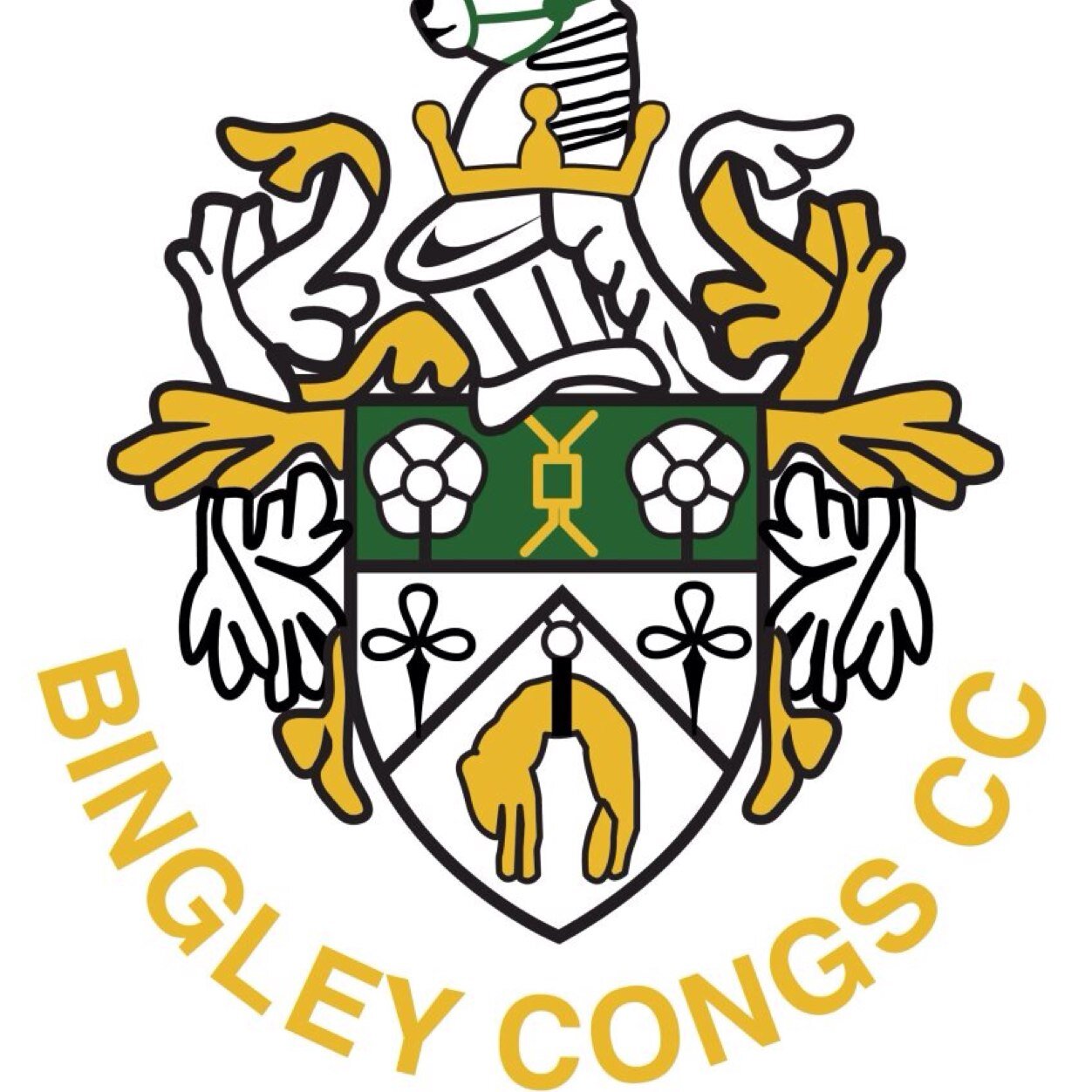 The official Twitter page of Bingley Congs CC of the Craven and District Cricket League. Looking for new players and sponsors for 2016 season, get in touch!