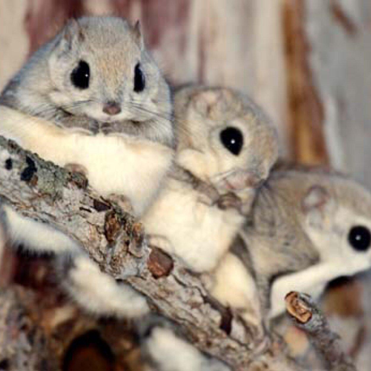 weisa1's profile picture. 