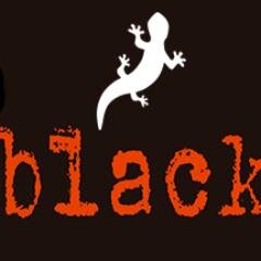 Salamandra Black