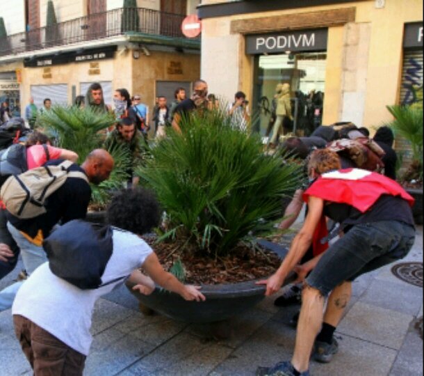 Héroe Nacional. Sacrificando capullos.