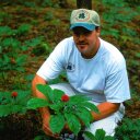 Larry Harding - @HardingGinseng1 - Twitter