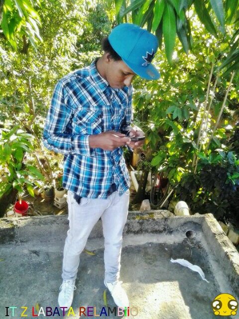 Cria perico paQ tengas cotorrA