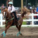 Emily Niles - @nilesa944 - Twitter