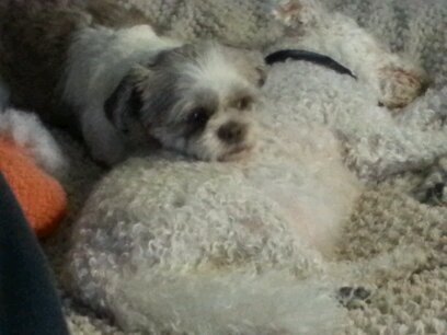 DiamonddaddyDc's profile picture. 