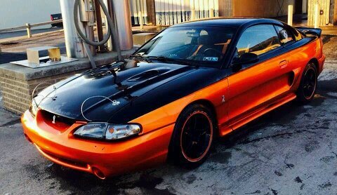 indiana_boy_83's profile picture. 31/single/ full time tig welder/love Ford specifically mustangs competition bow shooter on the weekends