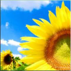 newostbiz's profile picture. 